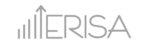 Erisa Logo Design Options