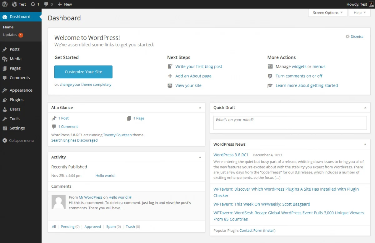 WordPress development dashboard view