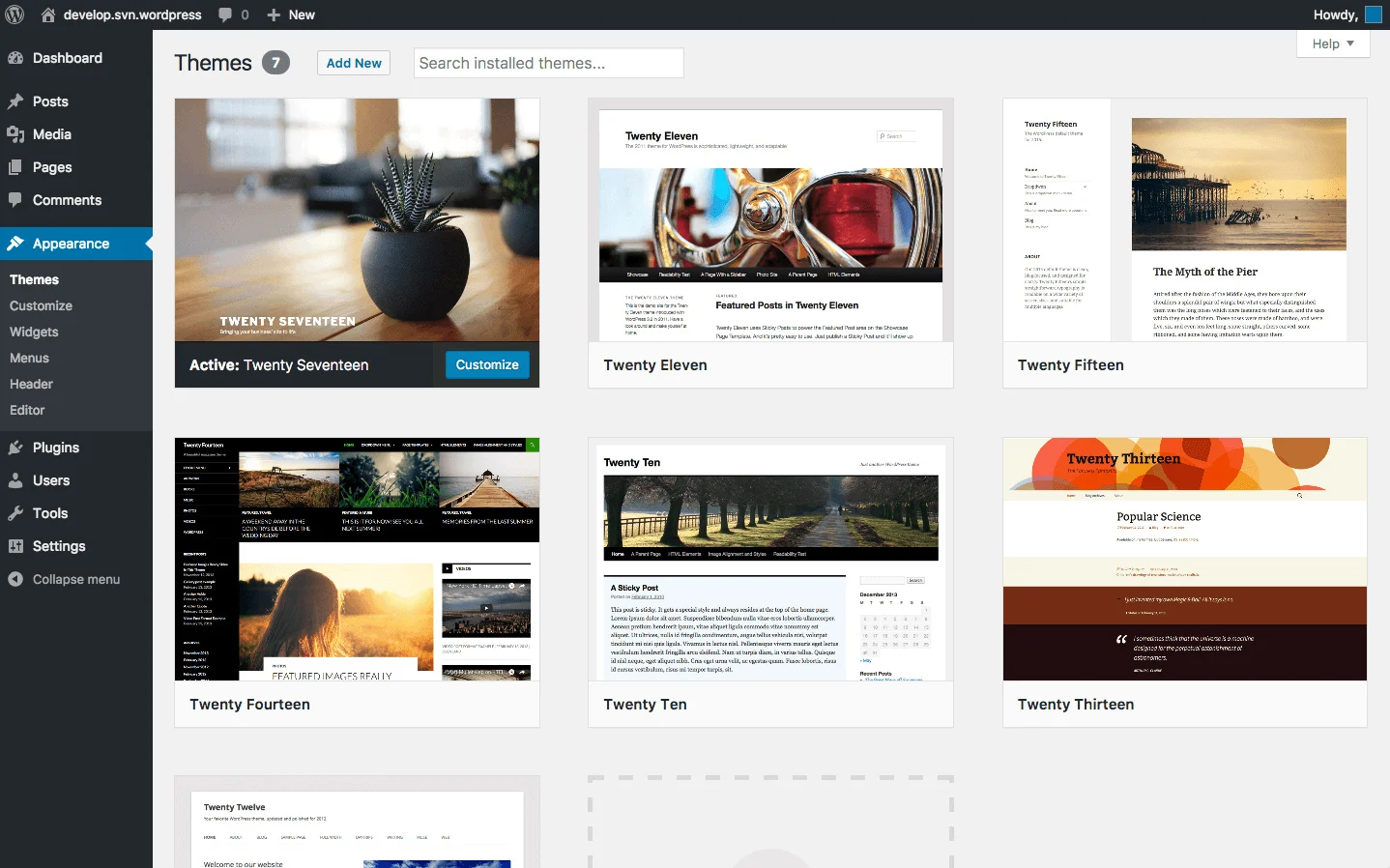 WordPress Development theme choices