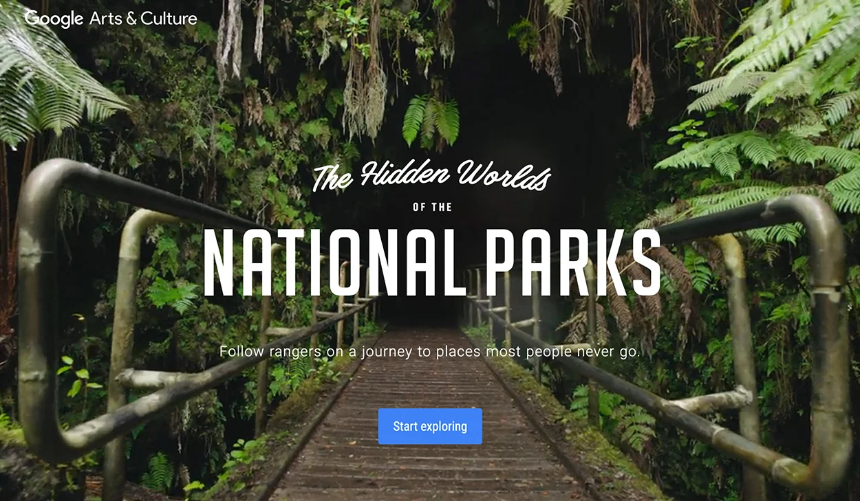 website design trend: full screen imagery