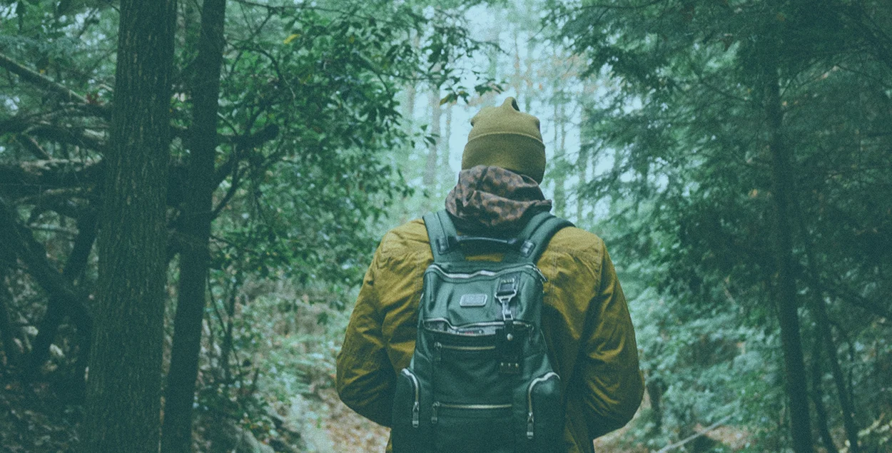 Design Inspiration - Look to Nature