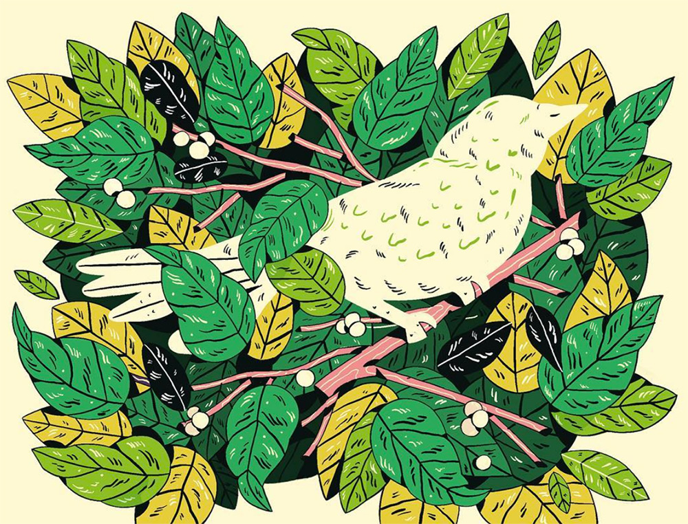 Shape of a bird, surrounded by leaves