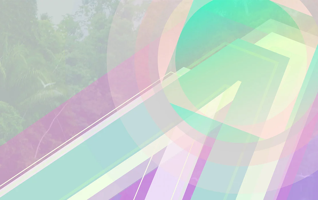 Web Development with CSS and JavaScript
