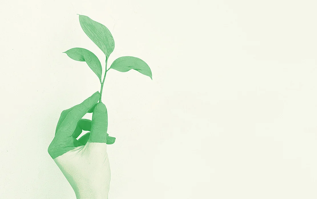 For-Profit Social Enterprises: A Sustainable Business Model