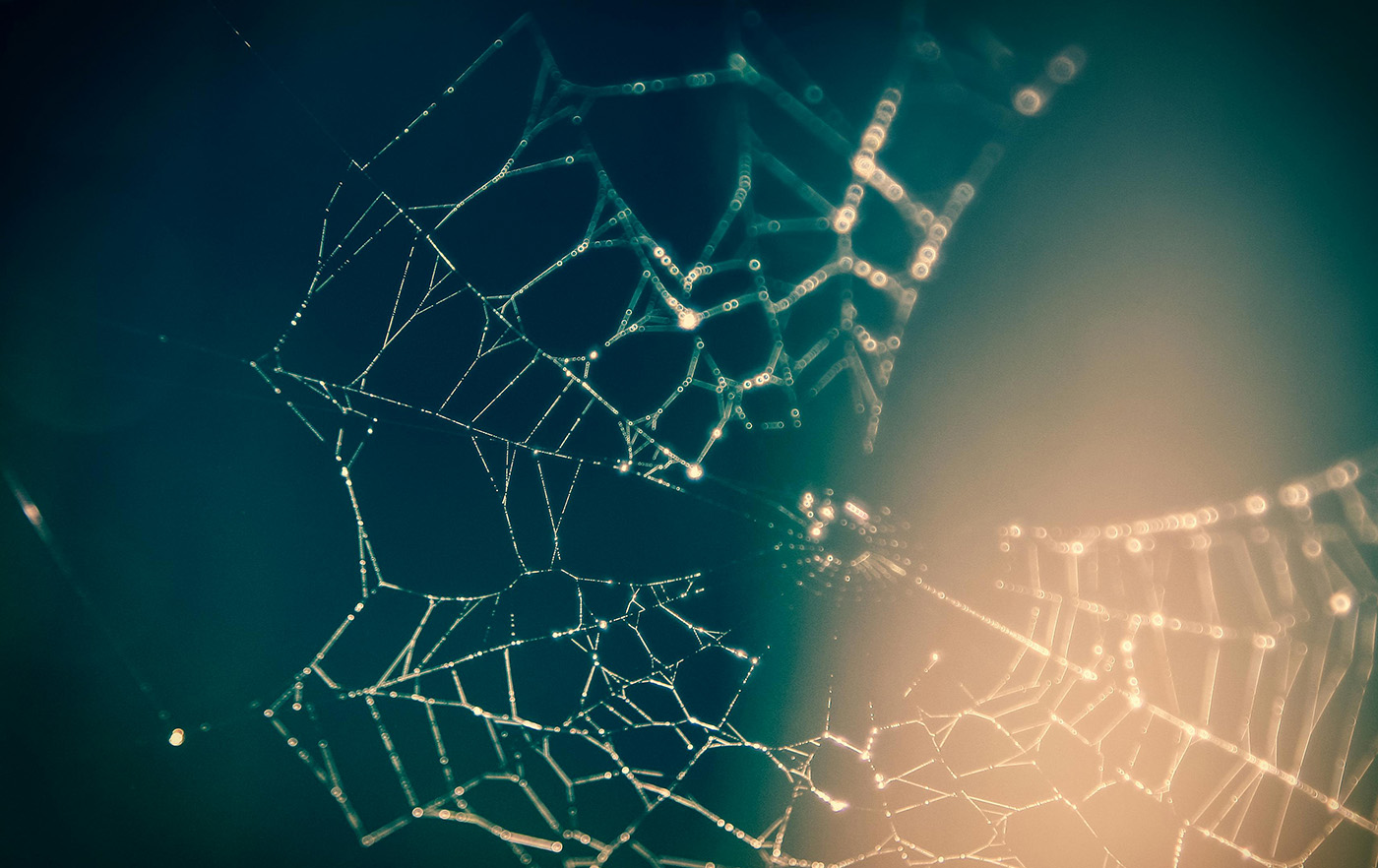 7 Signs Your Nashville Business Needs a Website Redesign