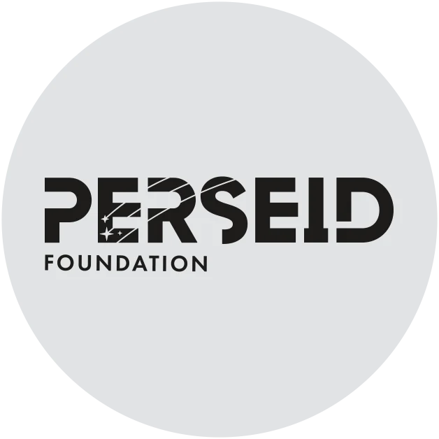 website design and development client review by Perseid Foundation