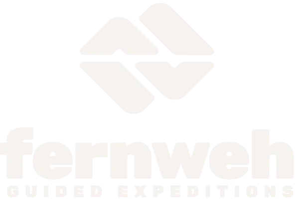 Fernweh event website design (logo)