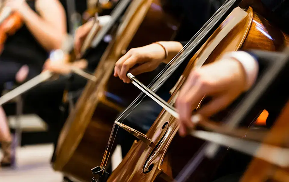 Website Development for Nashville Civic Orchestra