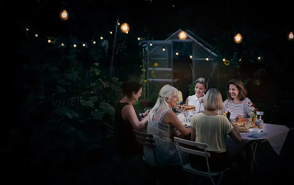Website Development for Potluck