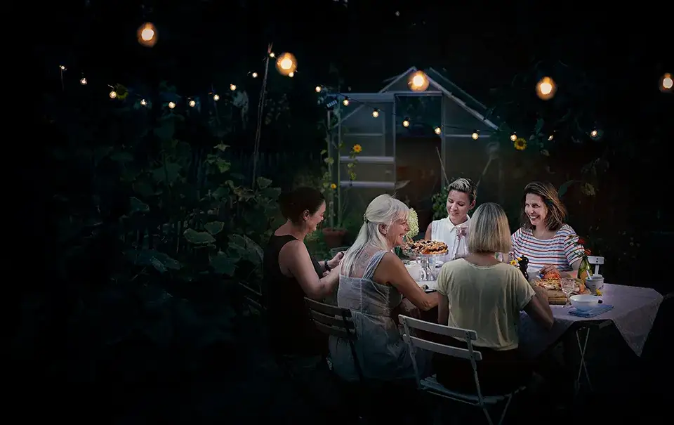 Website Development for Potluck